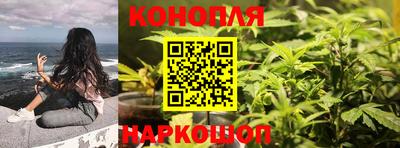 mix Кингисепп