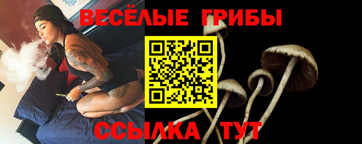 Псилоцибиновые грибы Psilocybine cubensis  Галлюциногенные грибы Psilocybine cubensis  Кушва  Вход с VPN 